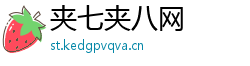 夹七夹八网